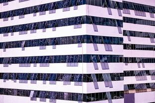 乐鱼（中国）体育官方网站-体育新闻中心推进体育智库体系建设，体育专题报道