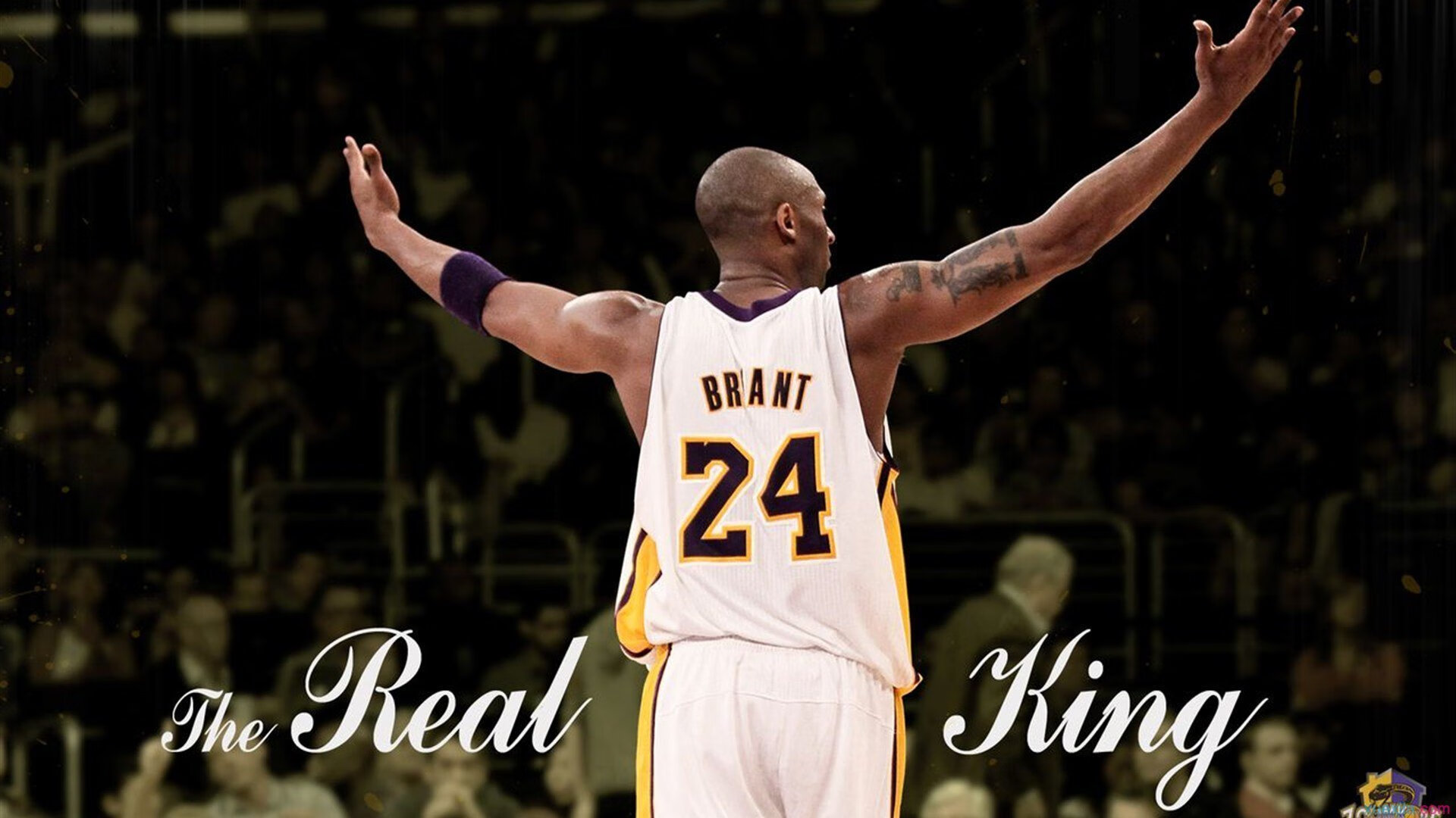 体育明星代言的边界在哪,体育明星代言人